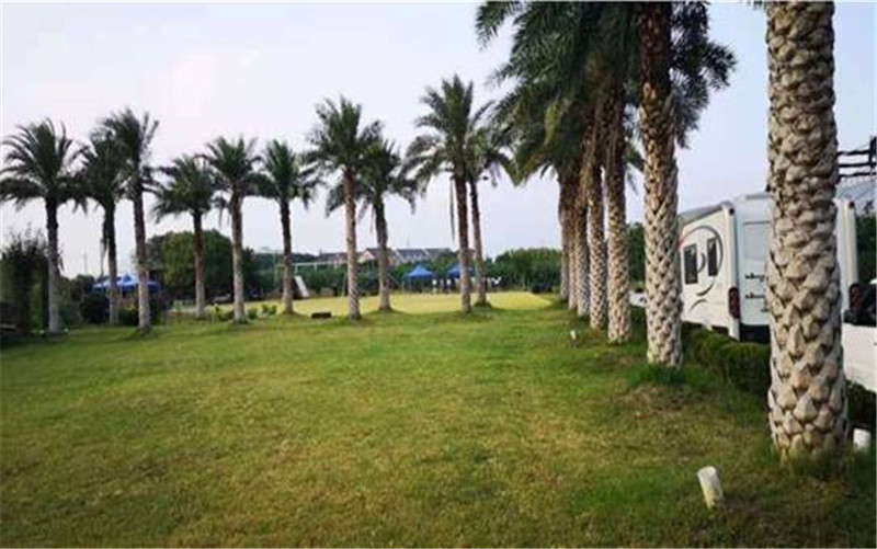 雷霆特训——上海青浦户外拓展基地